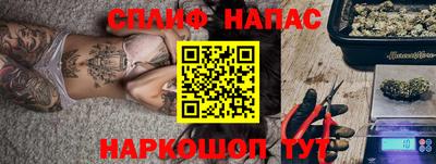 СК Новокубанск