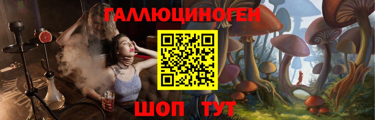 Галлюциногенные грибы Psilocybine cubensis Топки