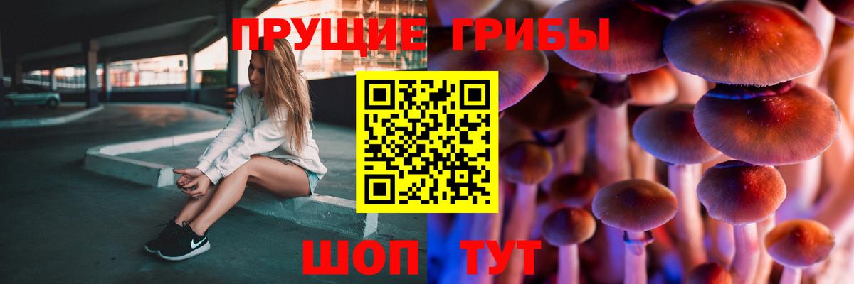 Галлюциногенные грибы мицелий  Вход с VPN  Псилоцибиновые грибы мицелий  хочу наркоту  Топки 