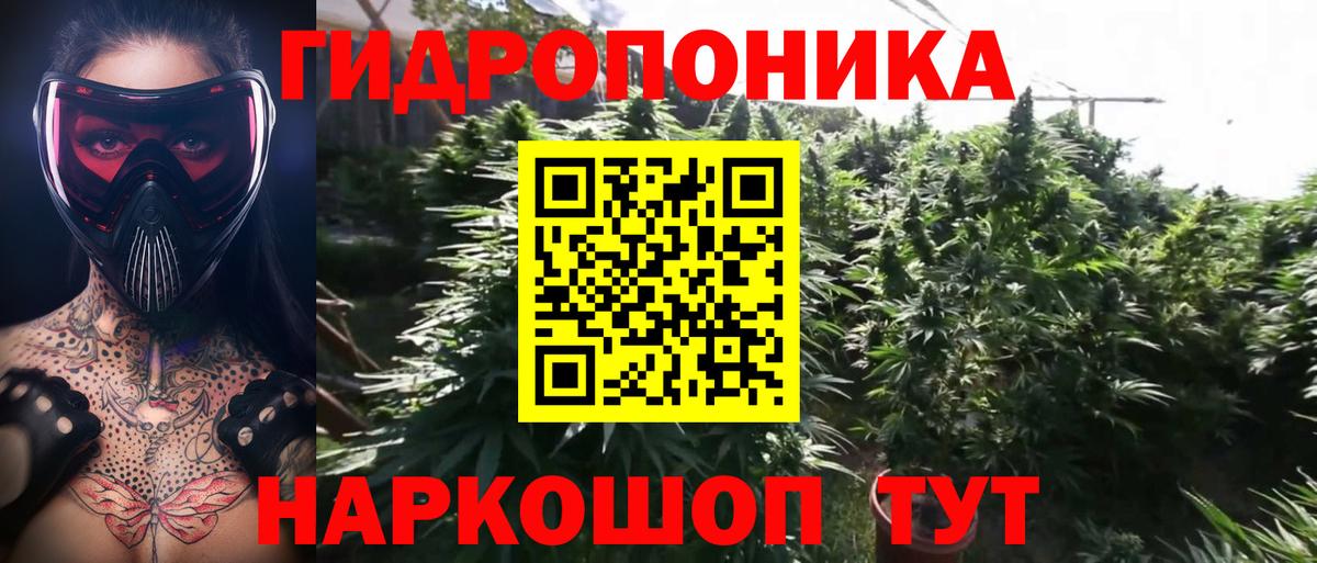 Бошки Шишки сатива Топки